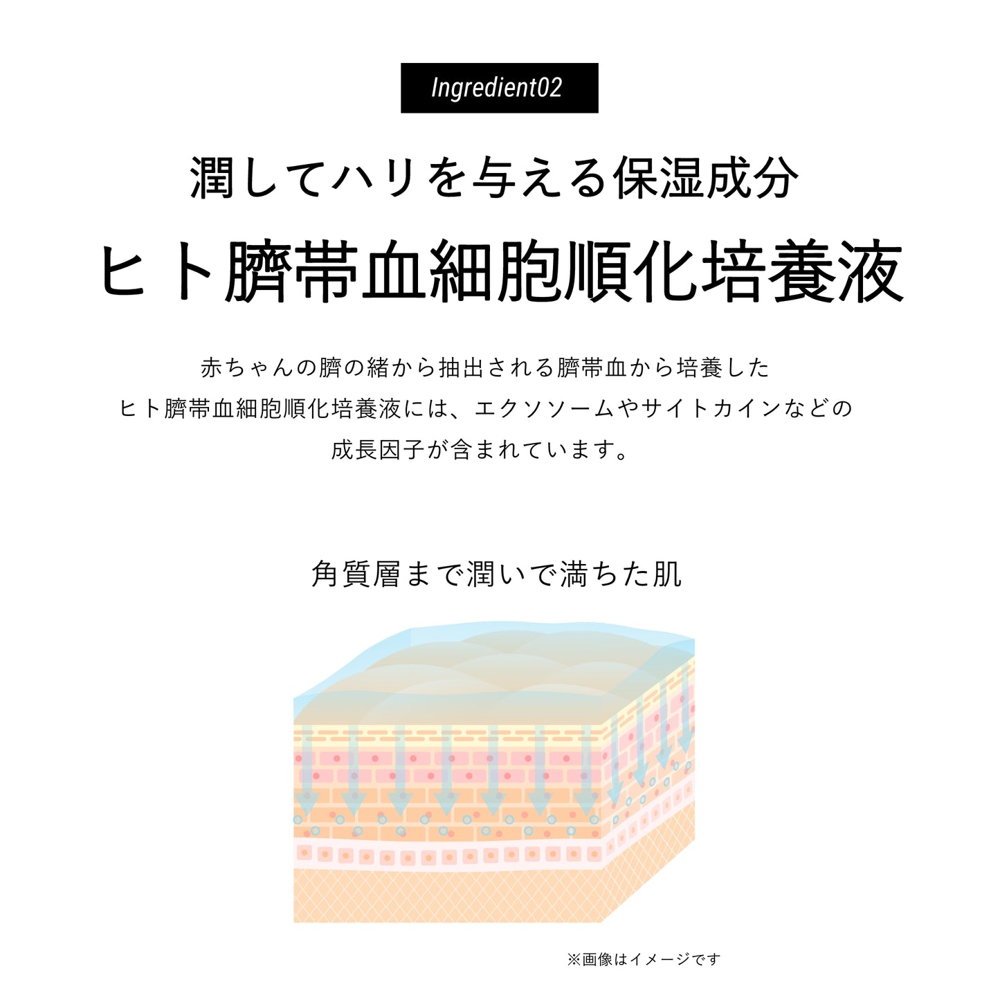 Deami (ディアミー)エッセンス フィット グロウ クッション